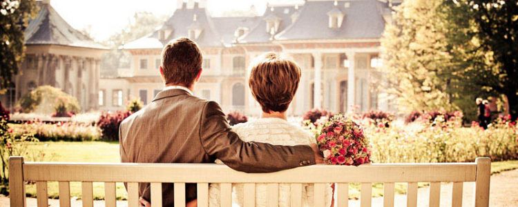 Sed magna purus fermentum