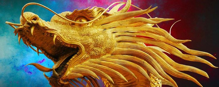 Donec elit libero sodales nec